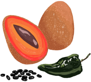 Mamey-Poblano-Beans